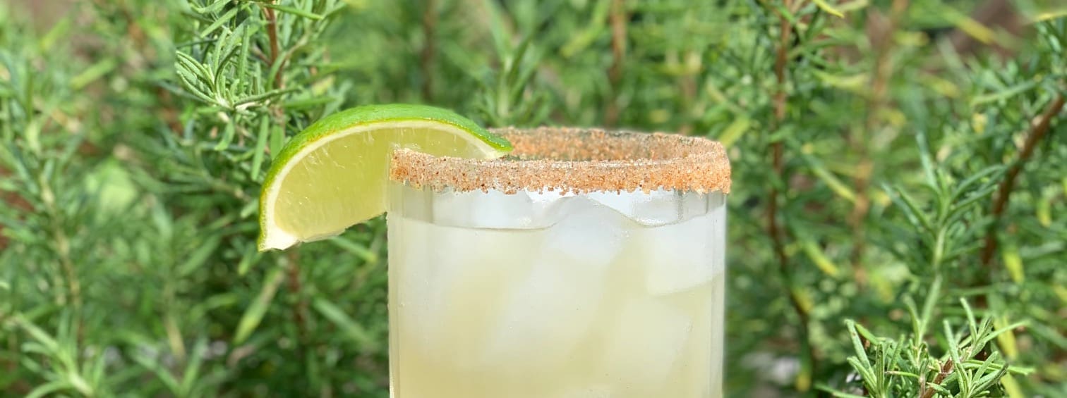 oaxacan pepino